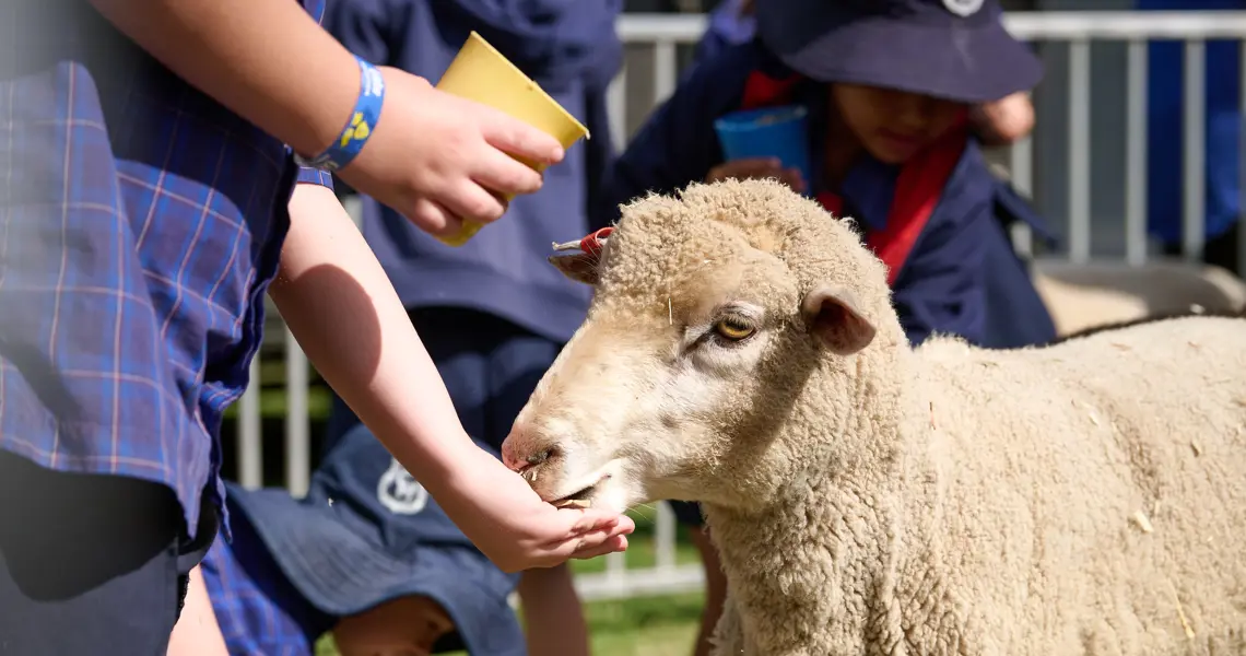 Ruraldiscoveryday 257